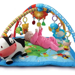 Gimnasio Cantarín 2 en 1